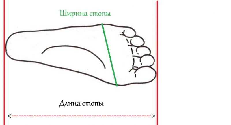 Размеры горнолыжных ботинок: таблица, как определить
